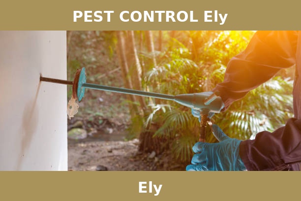 PEST CONTROL Ely
